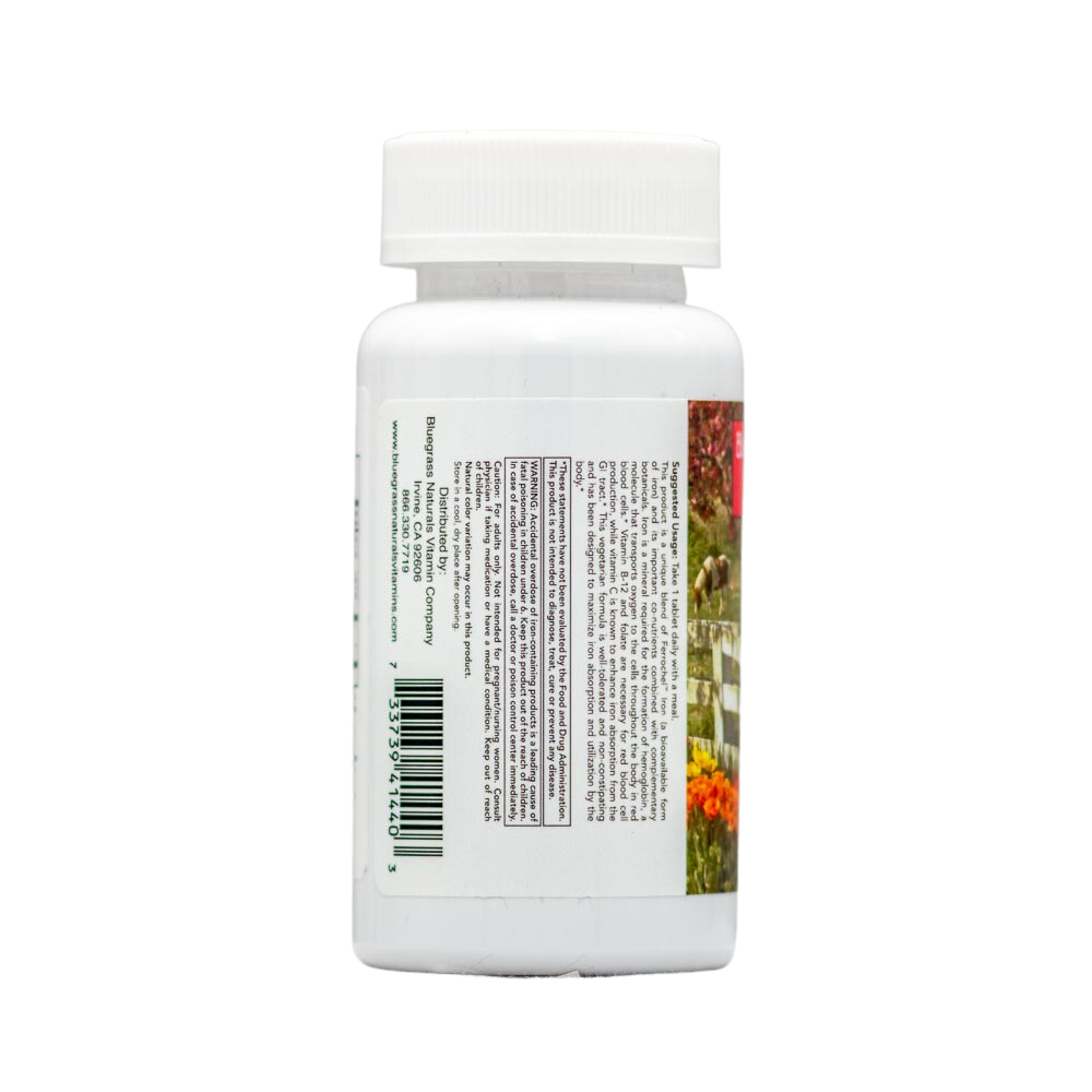 Health Support Iron Complex - dietary supplement