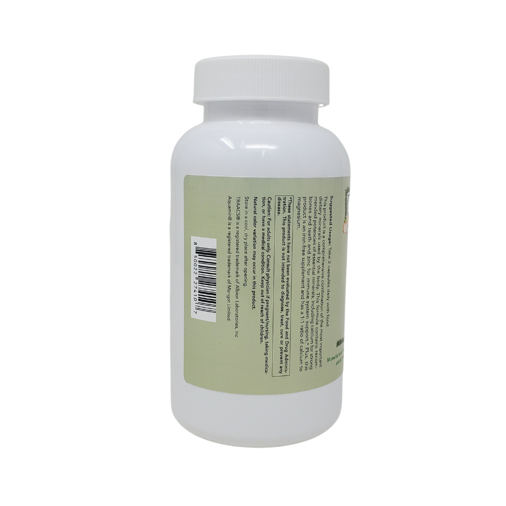 Calcium Absorption Optimization Image